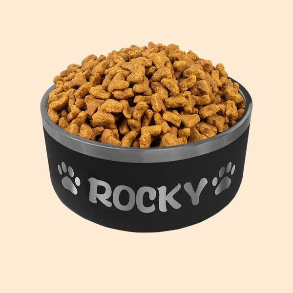 Personalized Stainless Steel Dog Food and Water Bowl